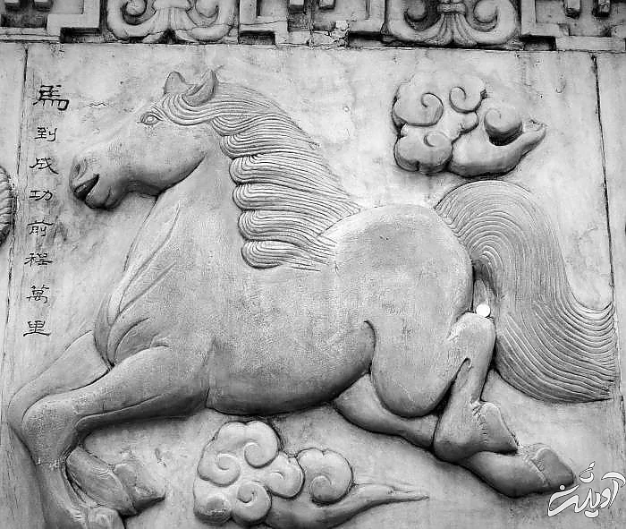 طالع بینی چینی سال اسب  علایق متولدین اسب